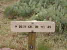 PICTURES/Deer Creek Trail/t_Deer Creek Trail Sign.JPG
